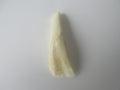 Genuine Camel Tooth Bead (BON0001-3)