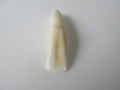 Genuine Camel Tooth Bead (BON0002-3)